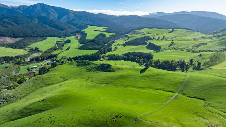 360 Quarry Road Loburn_2