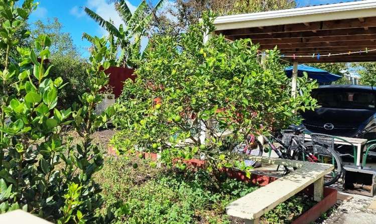 43 Norton Street Te Kopuru_6