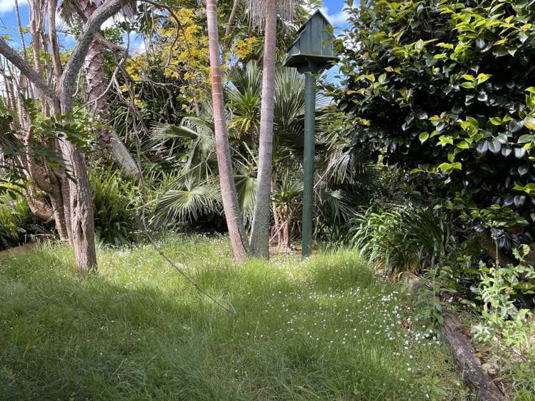 19 James Mcleod Road Shelly Beach_12