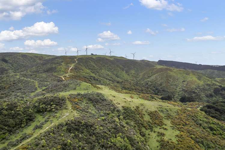 525A Makara Road Makara_11