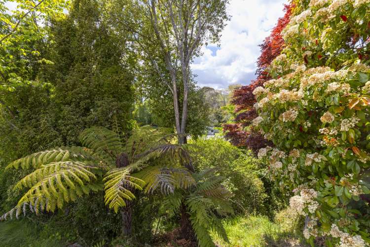 19 Kinloch Road Kinloch_19