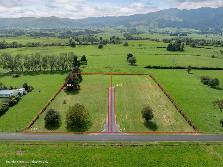 Strange Road Te Aroha_0
