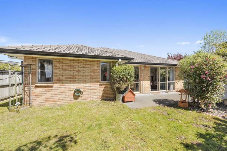 58 Twin Oak Avenue Papamoa_8