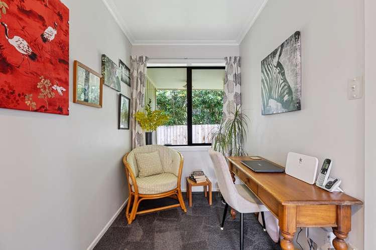 446B Thames Street Morrinsville_9