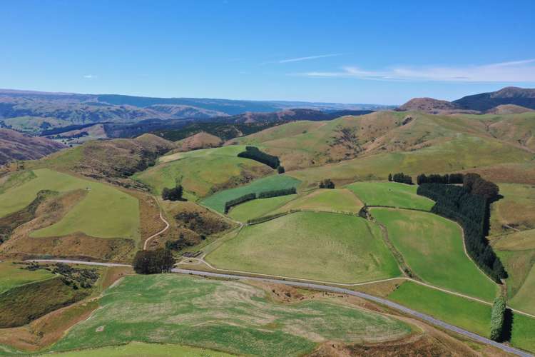 2230 Tapanui Raes Junction Highway Clutha_8