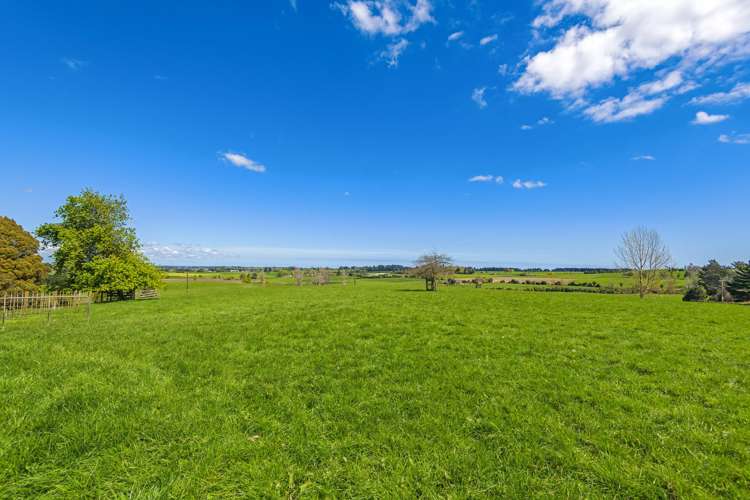 74 Galpins Road Marton_2