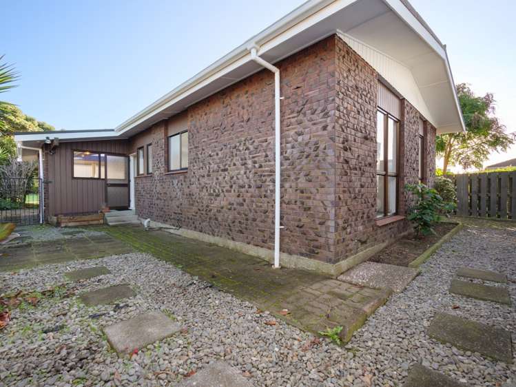 3 Tudor Place Mount Maunganui_12