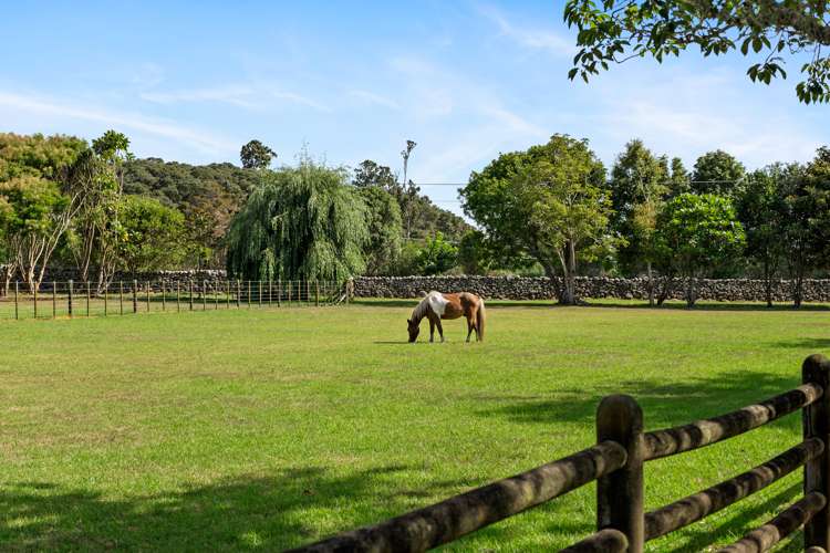 694 Ngunguru Road Glenbervie_23