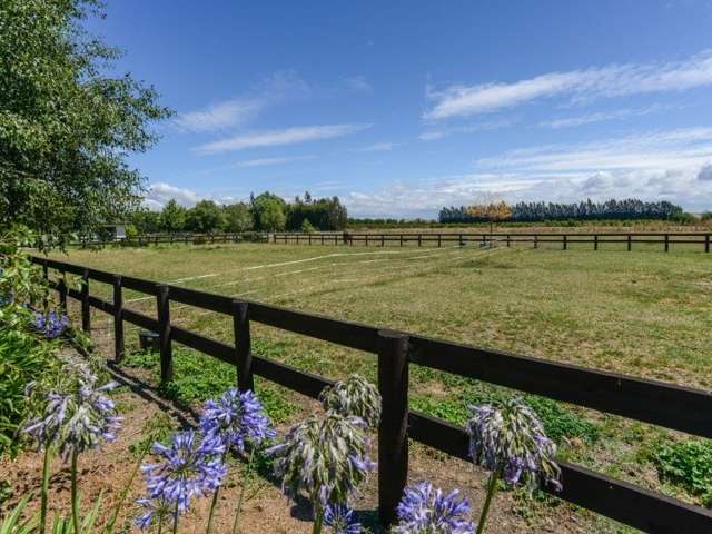 17 The Loop Meeanee_2