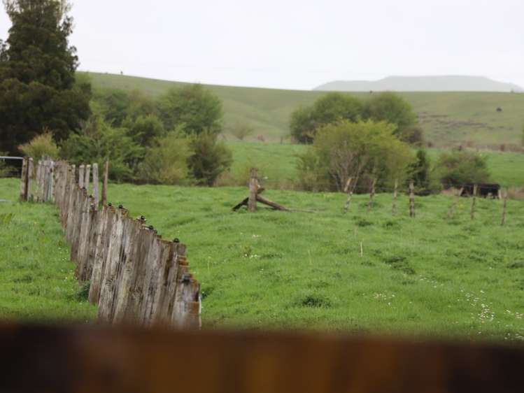 44 Gladstone Street Woodville_4