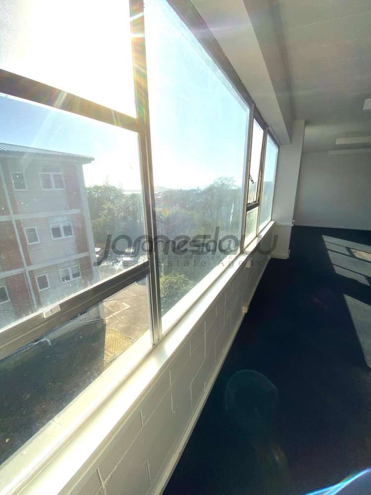 Level 1 - Tenancy C/272 Parnell Road Parnell_7