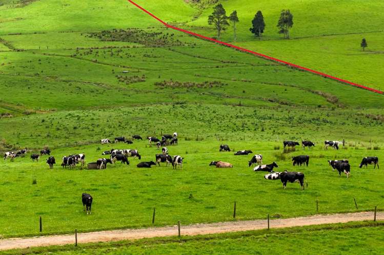 89 Jones Road Donnellys Crossing_48