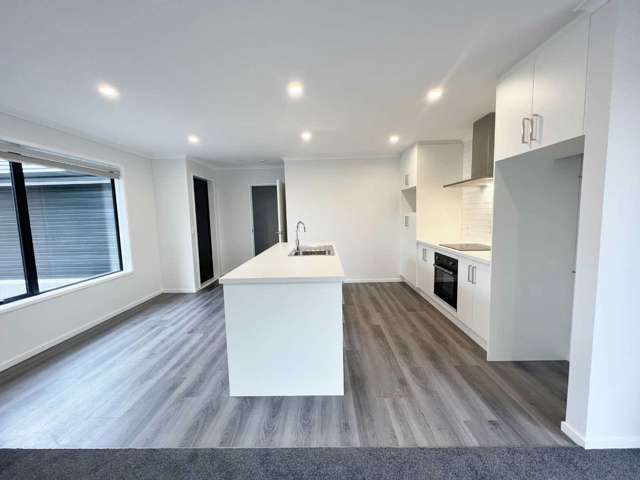 3 Portman Street Woolston_4