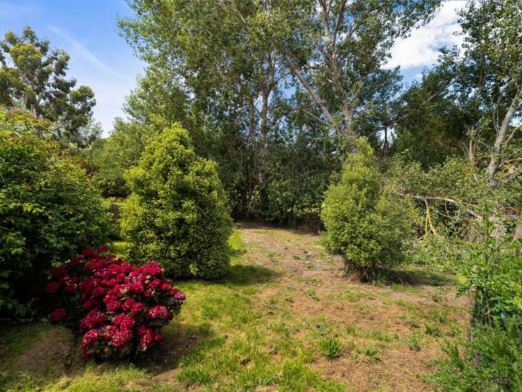 64 Ronaldsay Street Palmerston_16