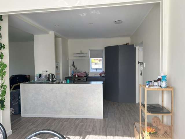 46 Atkins Street 11193_3