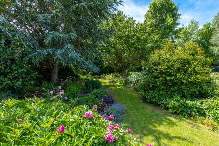 33 David Street Yelverton_16