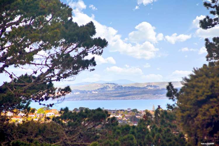 16 Glendhu Road Bayview_8