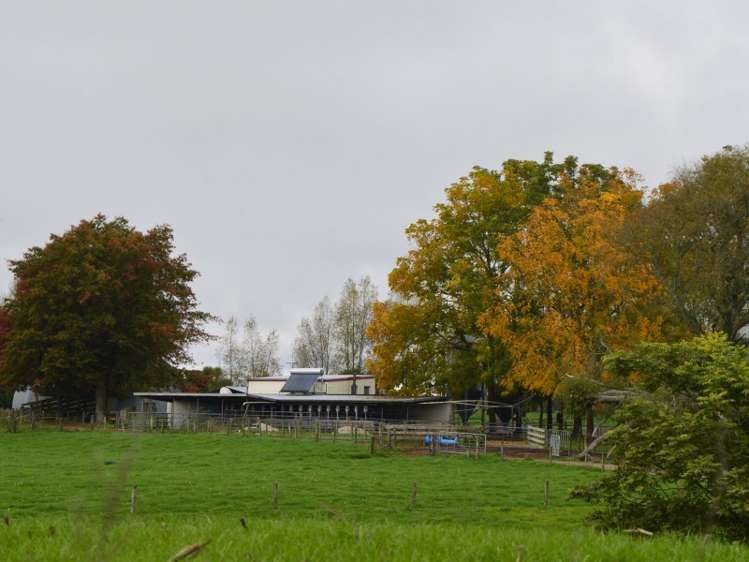 2237 Old Taupo Road Putaruru_12