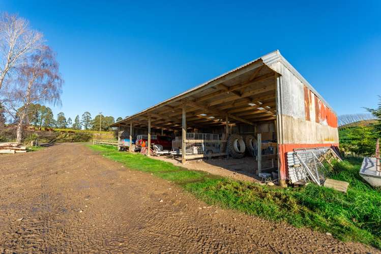 463 Dog Kennel Road Waimate_23