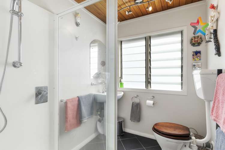 25 Palm Grove Belmont_12