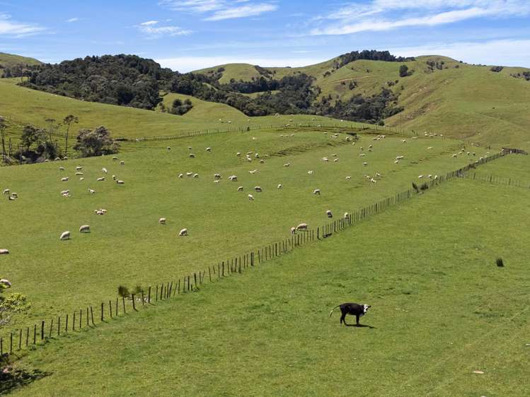 29 Mataikokako Loop Kawakawa Bay_21