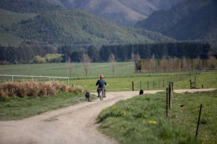 793 Peel Forest Road Mesopotamia_22