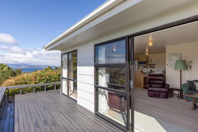 9 Koromiko Place Omori_3