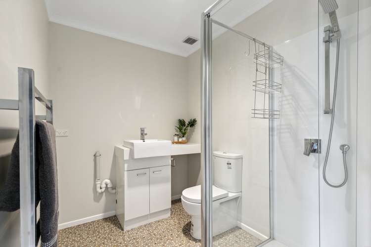 125a Miramar North Road Miramar_11