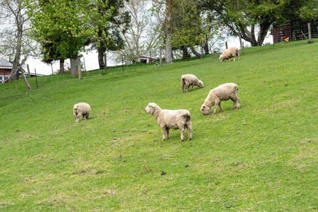 65 Gabriels Gully Road Lawrence_3