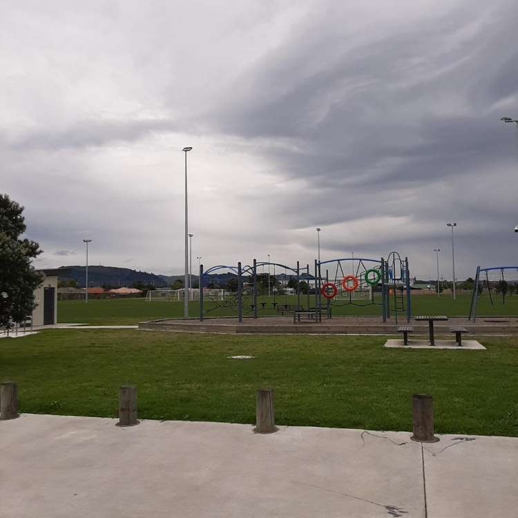203 Te Maunga Lane 11229_18