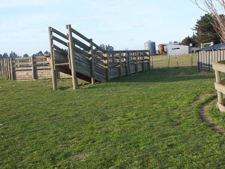 3510 Main South Road Dunsandel_15