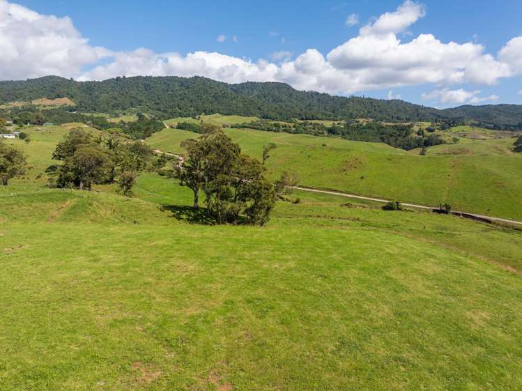 250 Busby Road Katikati_8