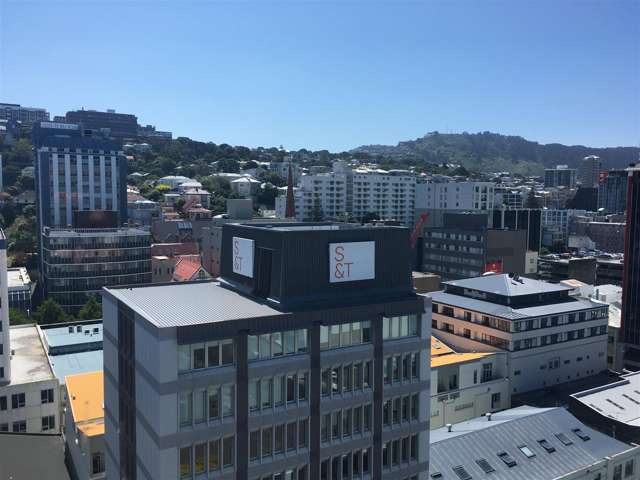 Level 10, 175 Victoria Street Te Aro_4