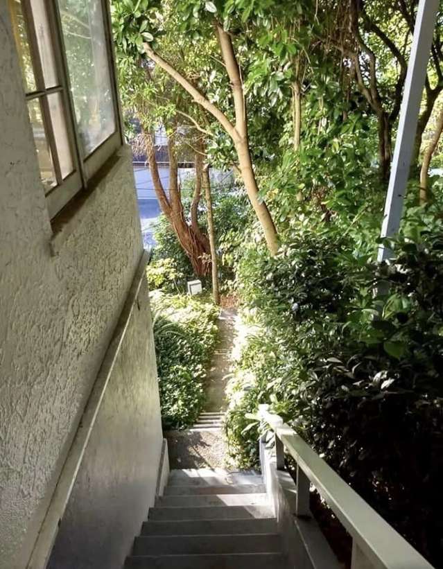 38 Ngaio Road Kelburn_2