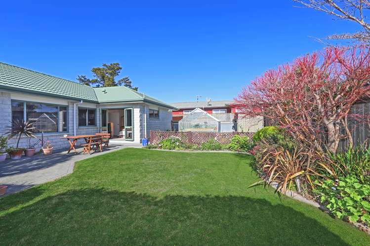 261 Guppy Road Taradale_2