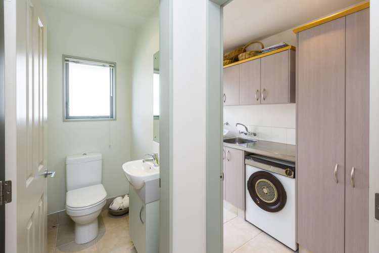 2 Vernon Grove Brown Owl_13