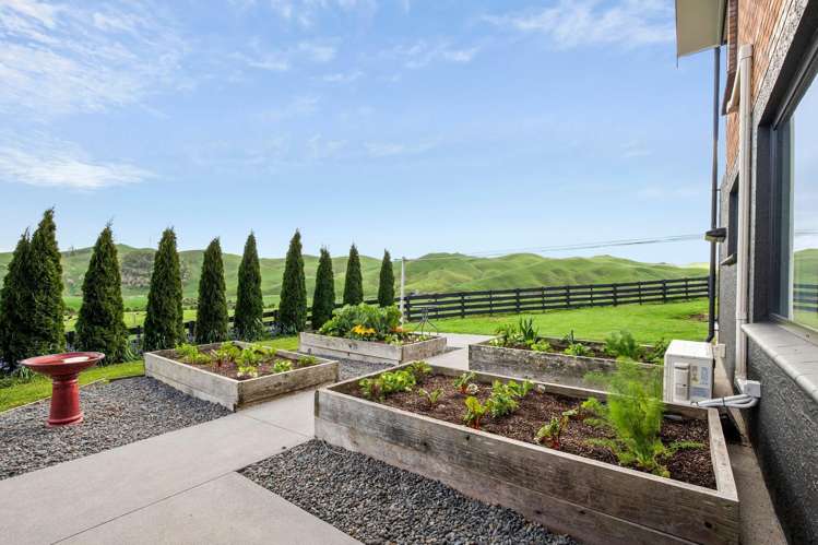 161 Tahuroa Road Tauwhare_27