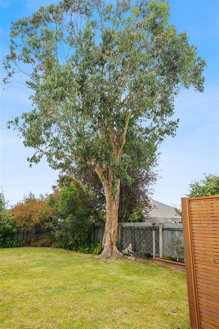 10 Garnett Avenue Spreydon_32