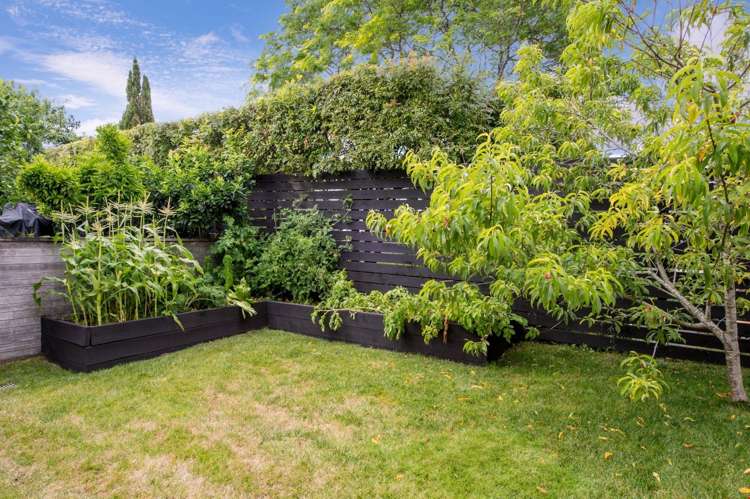 16a Clifton Road Hauraki_5