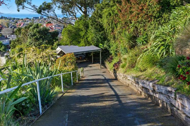 112 Forbury Road Saint Clair_23