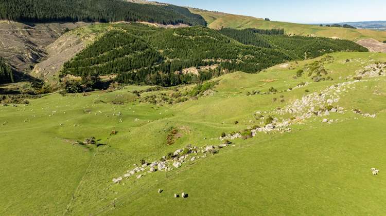 614 Omihi Road Omihi_14