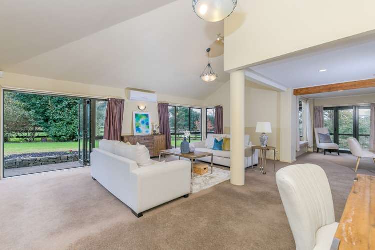 99 Postman Road Dairy Flat_12