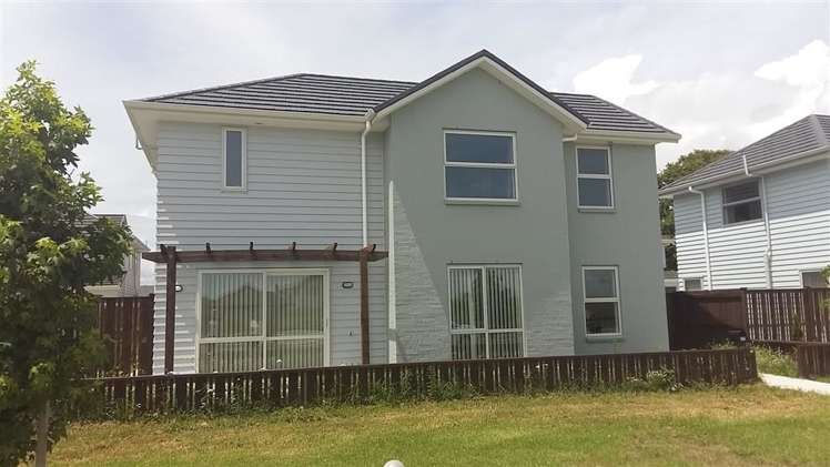 227 Porchester Road Takanini_0