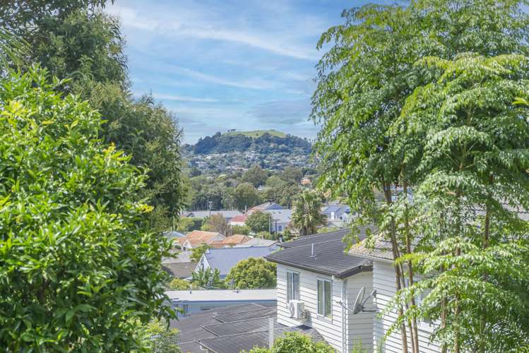 294 Mount Albert Road Sandringham_16