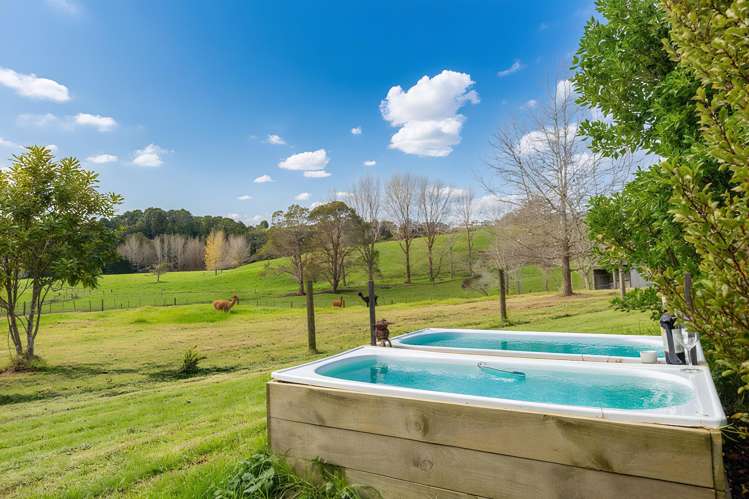 47 Wilson Road Wellsford_13