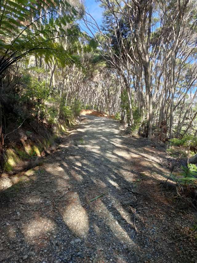 Lot 7 Smelting House Bay Kawau Island_4