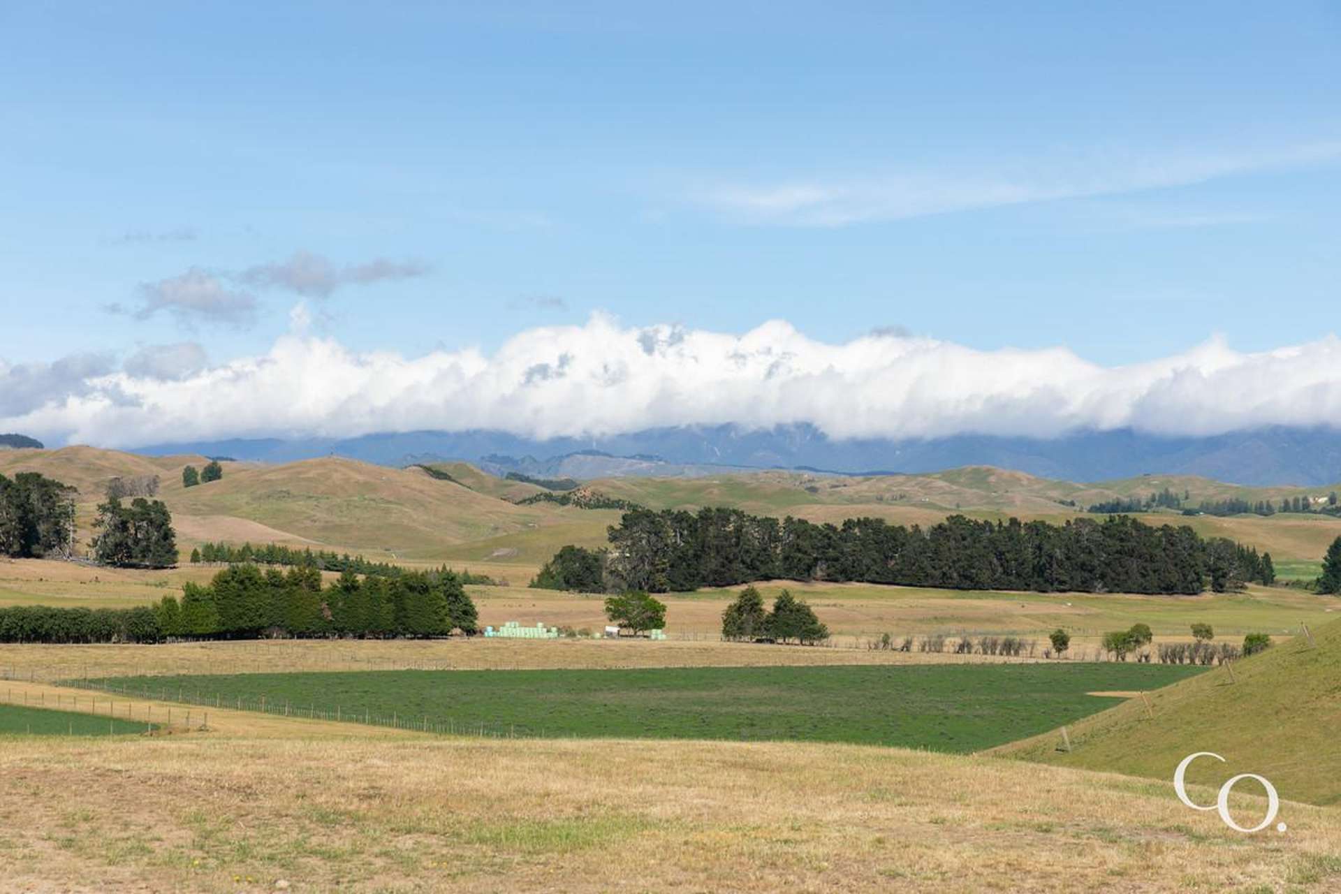 Lot 1/516 Salisbury Road Maraekakaho_0