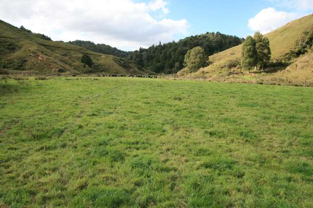 4869 Ohura Road Pohokura_3