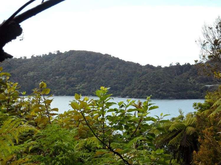 361 Back Road Stewart Island/Rakiura_0