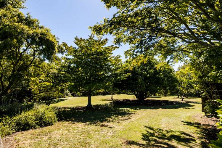 881b Te Matai Road Te Ranga_20